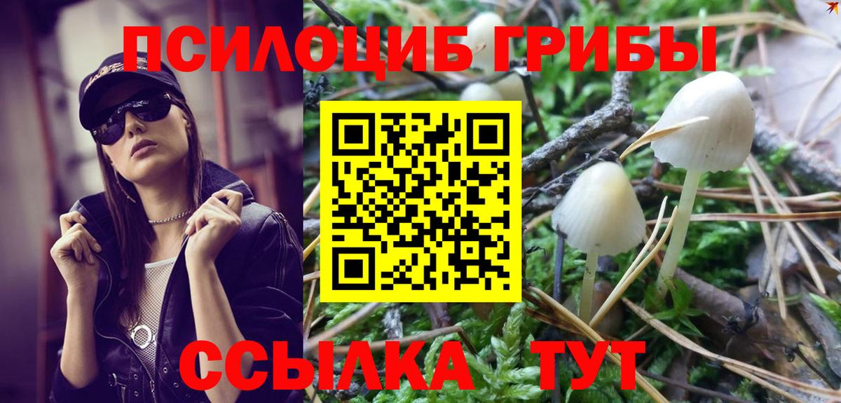 Феодосия  Псилоцибиновые грибы GOLDEN TEACHER  Псилоцибиновые грибы мухоморы  Вход с VPN 